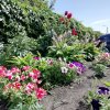 IMG_20180804_142947